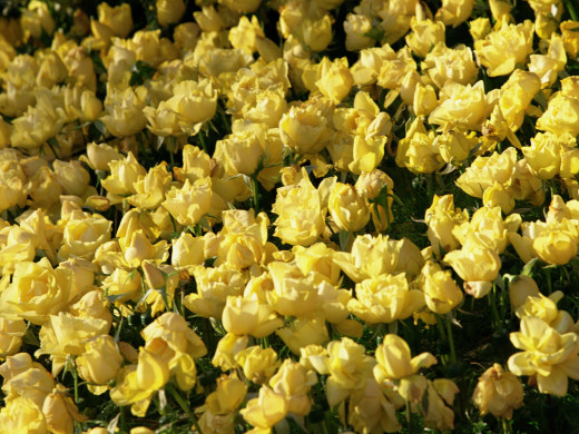 426887 (a): :1600x1200